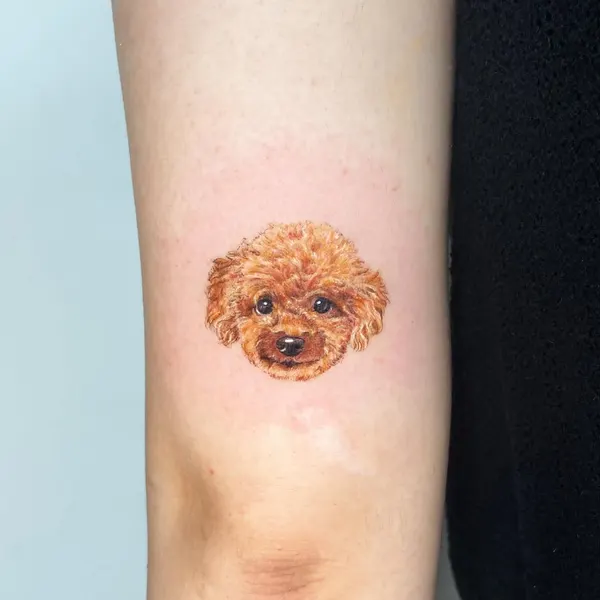 Animal