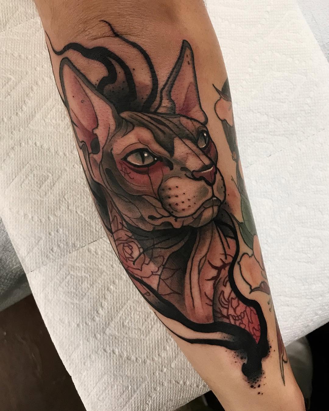Animal