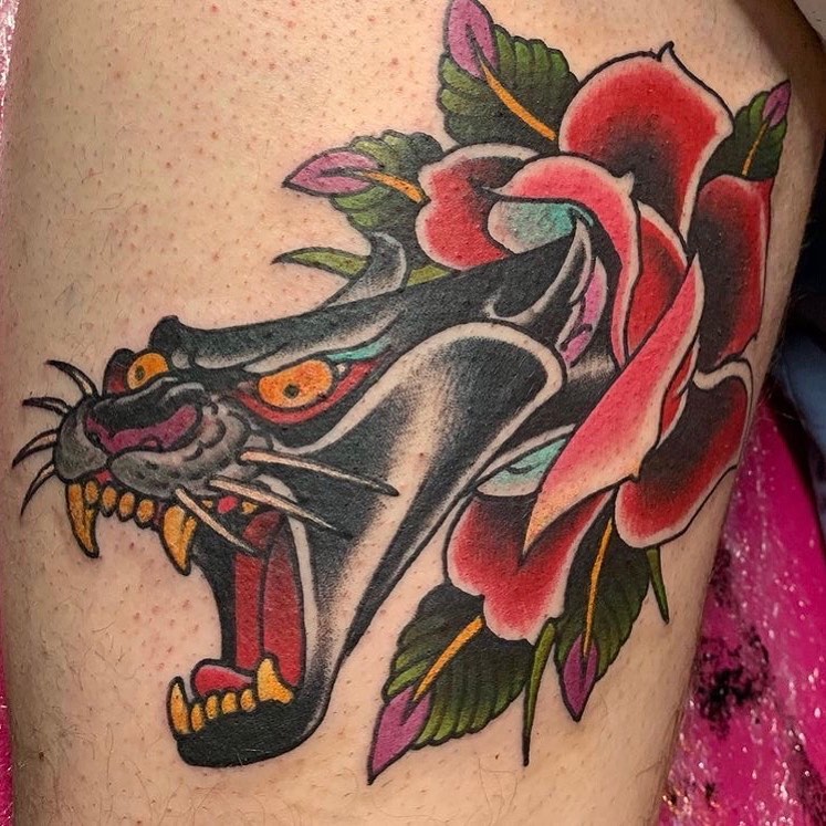 Animal, Tiger