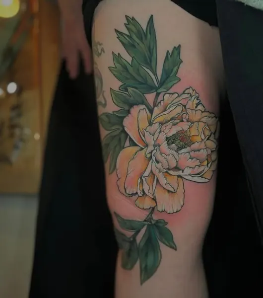 Flower, Rose