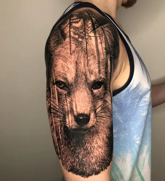 Animal, Tiger
