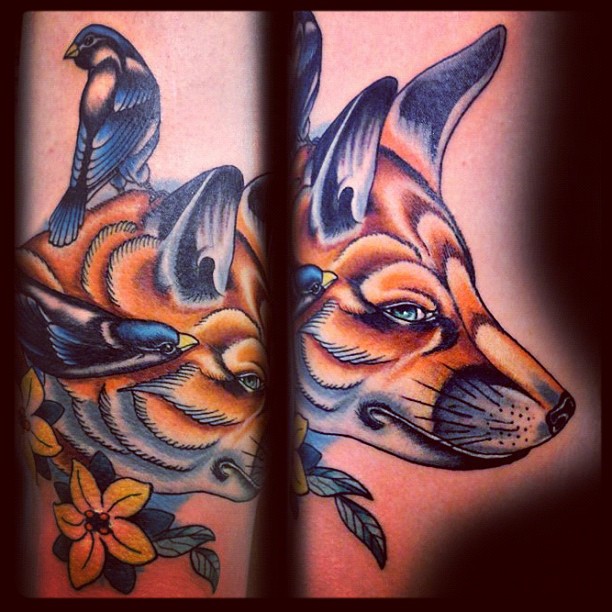 Animal