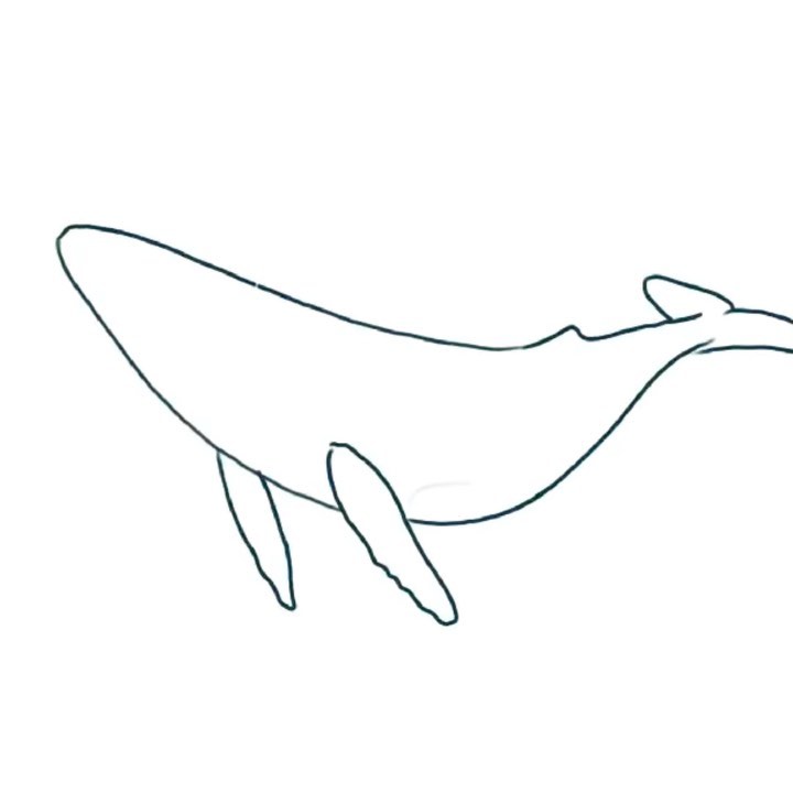 Animal, Nature