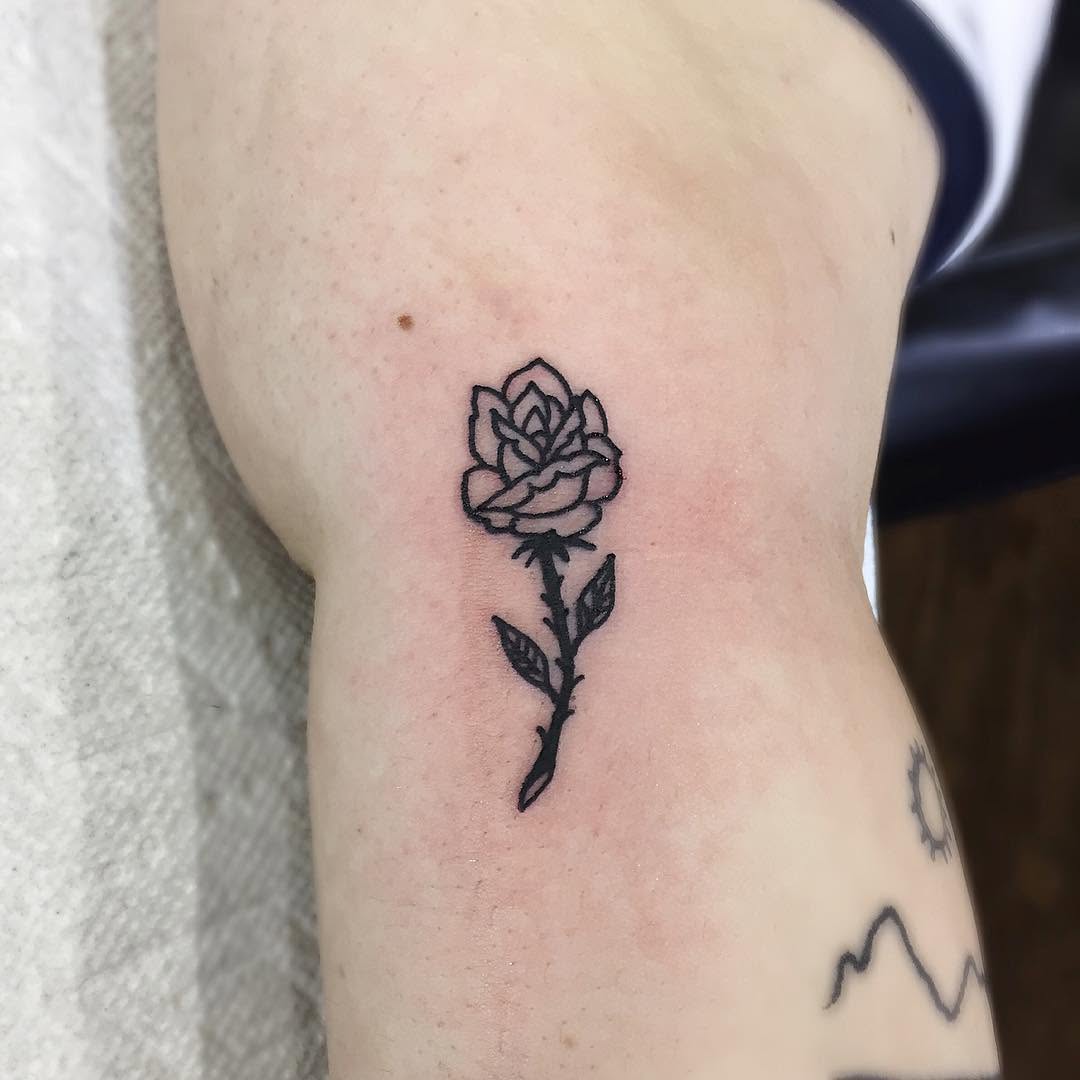 Flower, Rose
