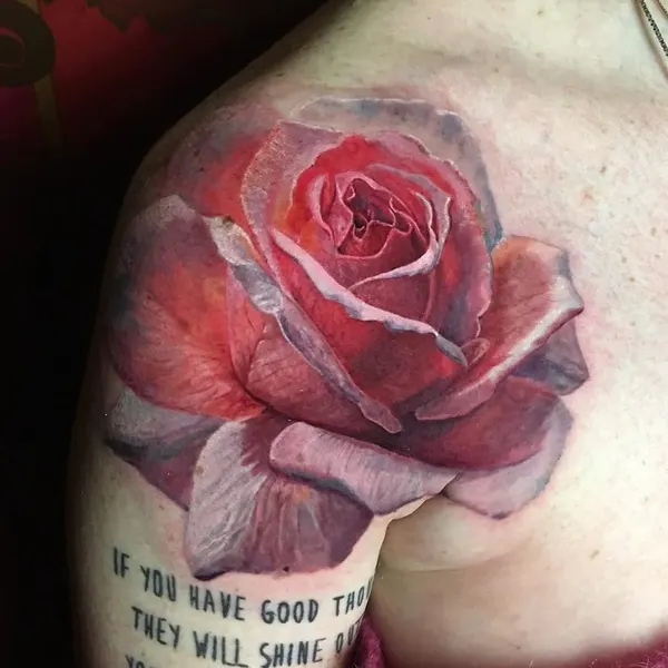 Flower, Rose, Nature