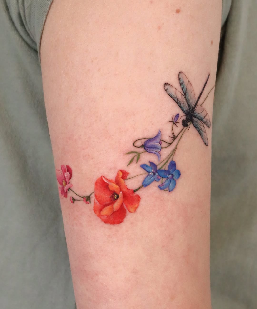 Animal, Nature, Flower