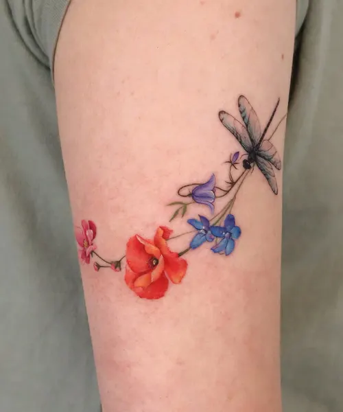 Animal, Nature, Flower
