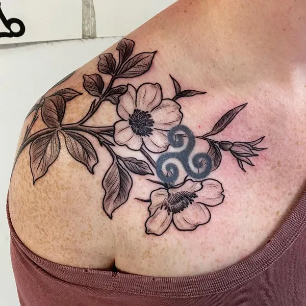 Flower, Rose, Nature