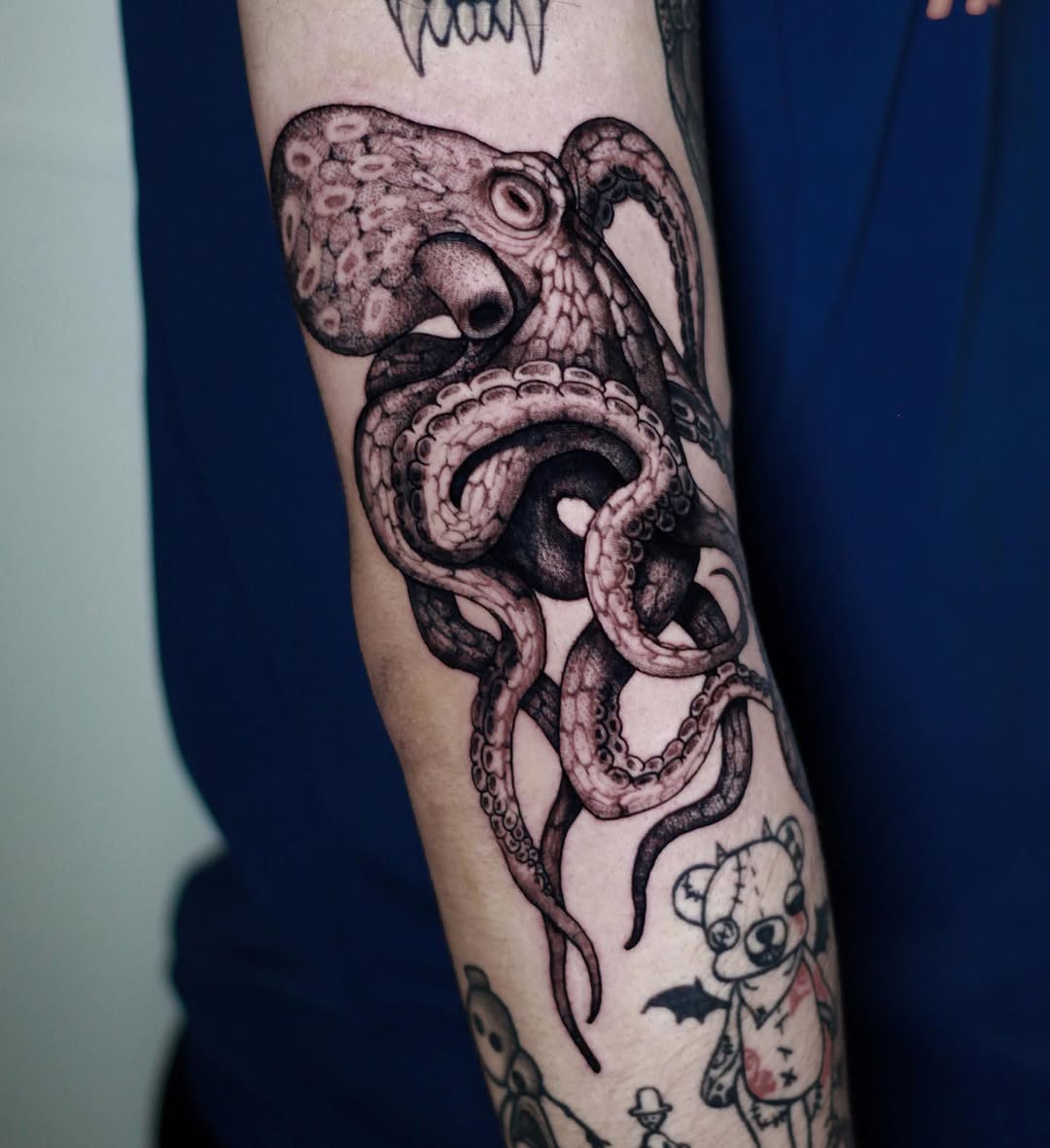 Animal, 문어, 크라켄