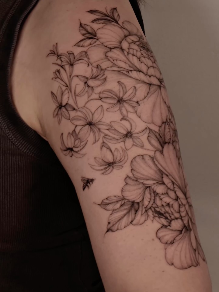 Flower, Rose