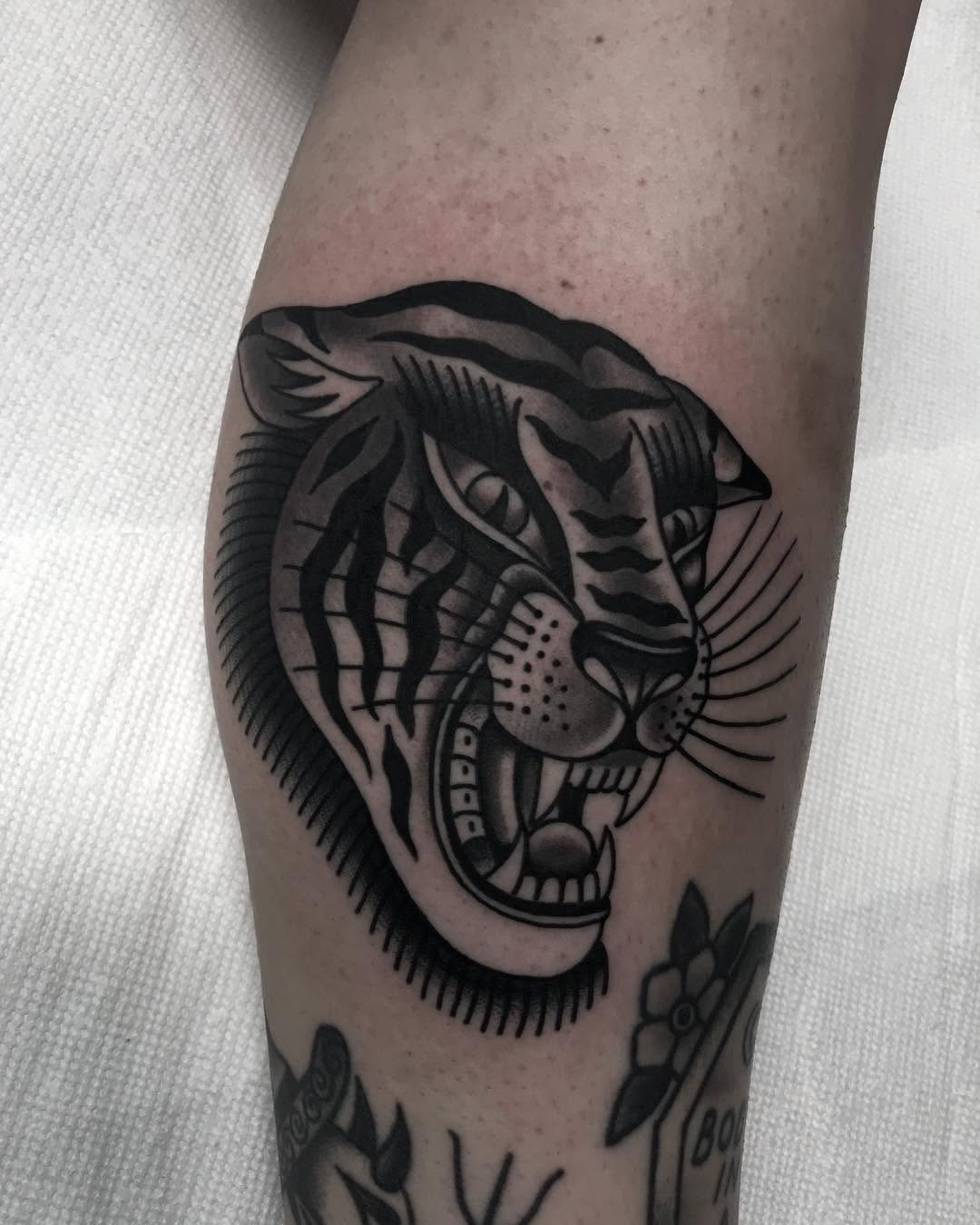 Tiger, Animal