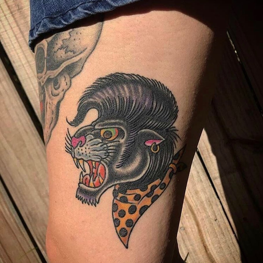 Tiger, Animal