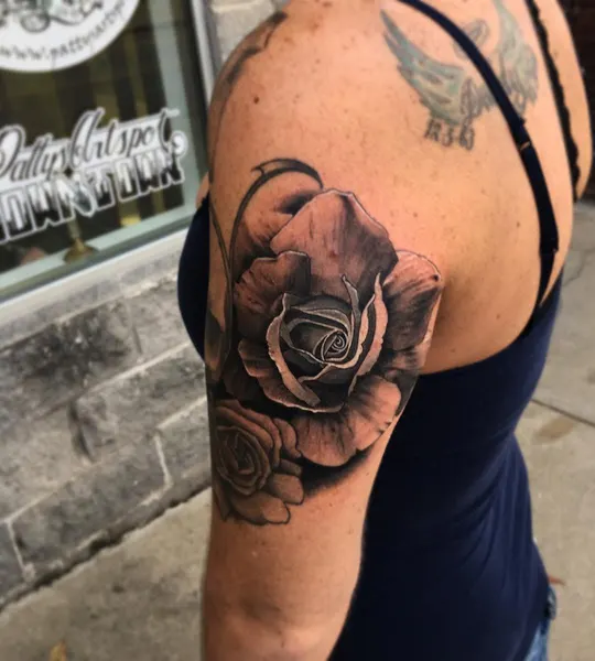 Flower, Rose, Nature