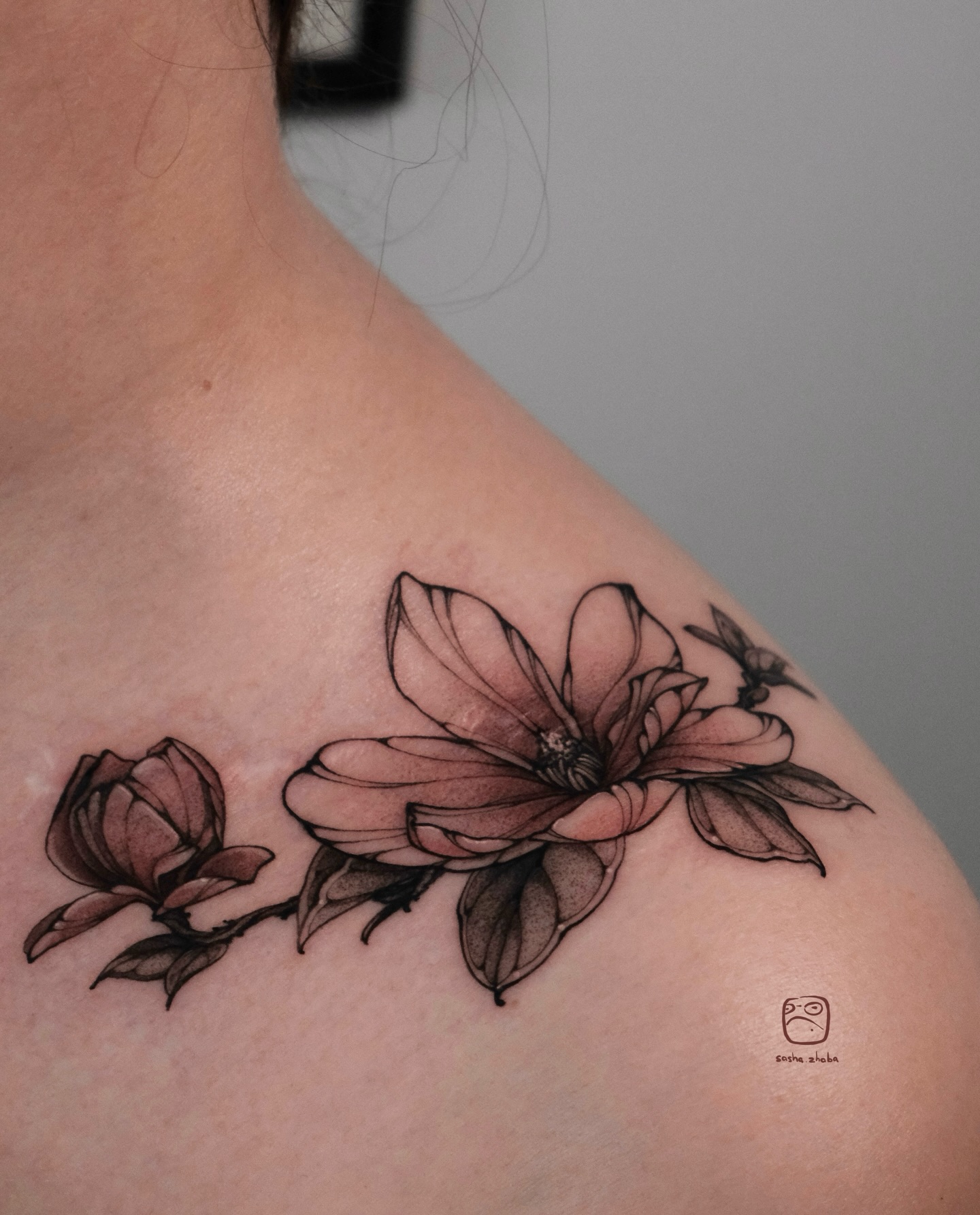 Flower, Rose, Nature