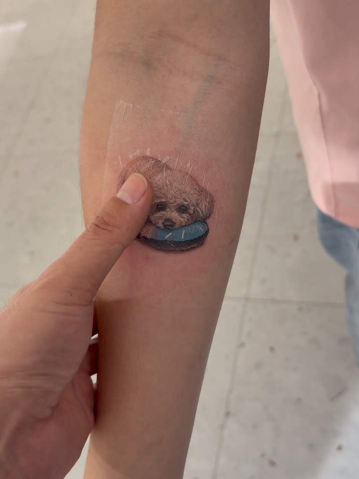 반려동물