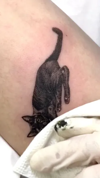 팬서, 고양이, 여우 가면