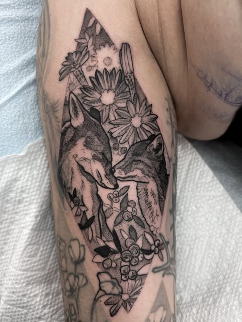 Animal, 여우