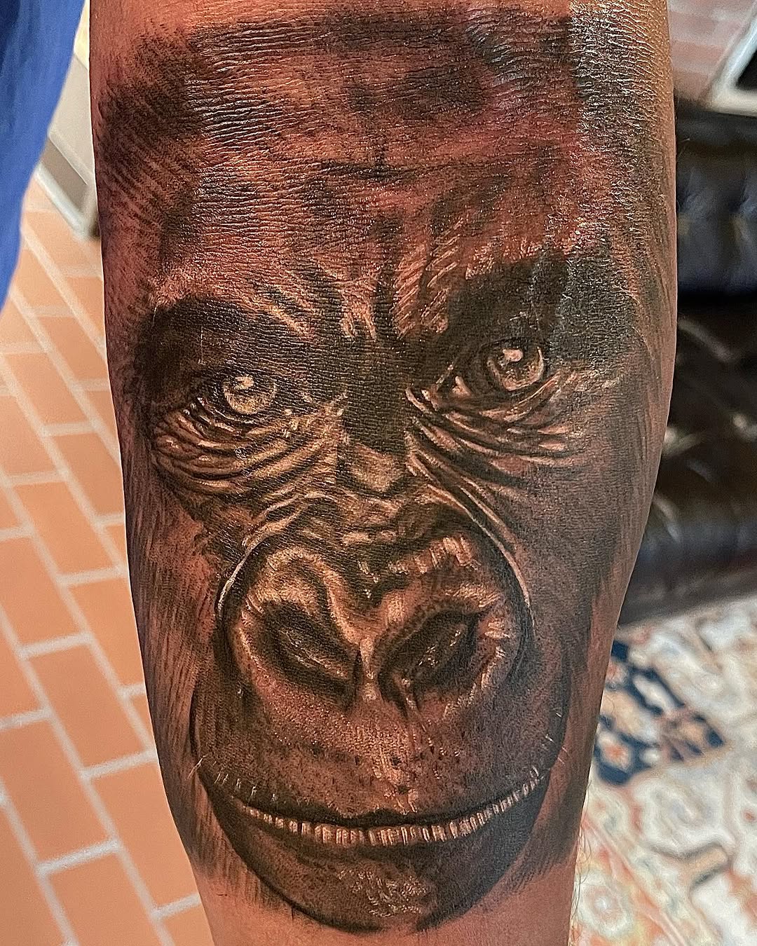 Tiger, Animal
