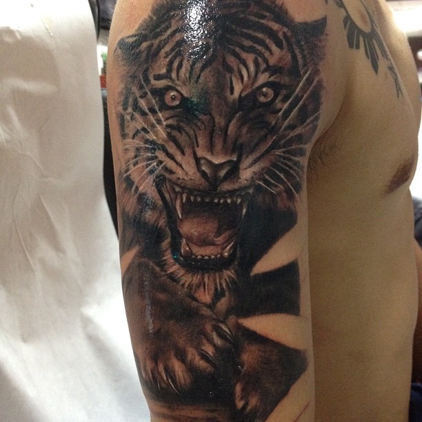 Tiger
