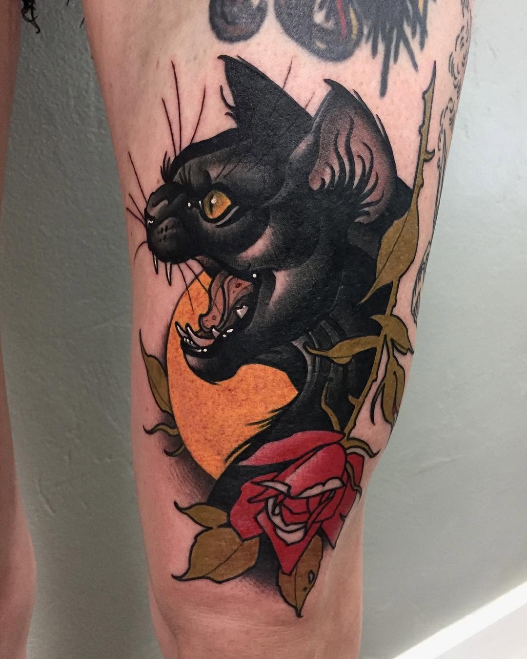 Animal, Tiger