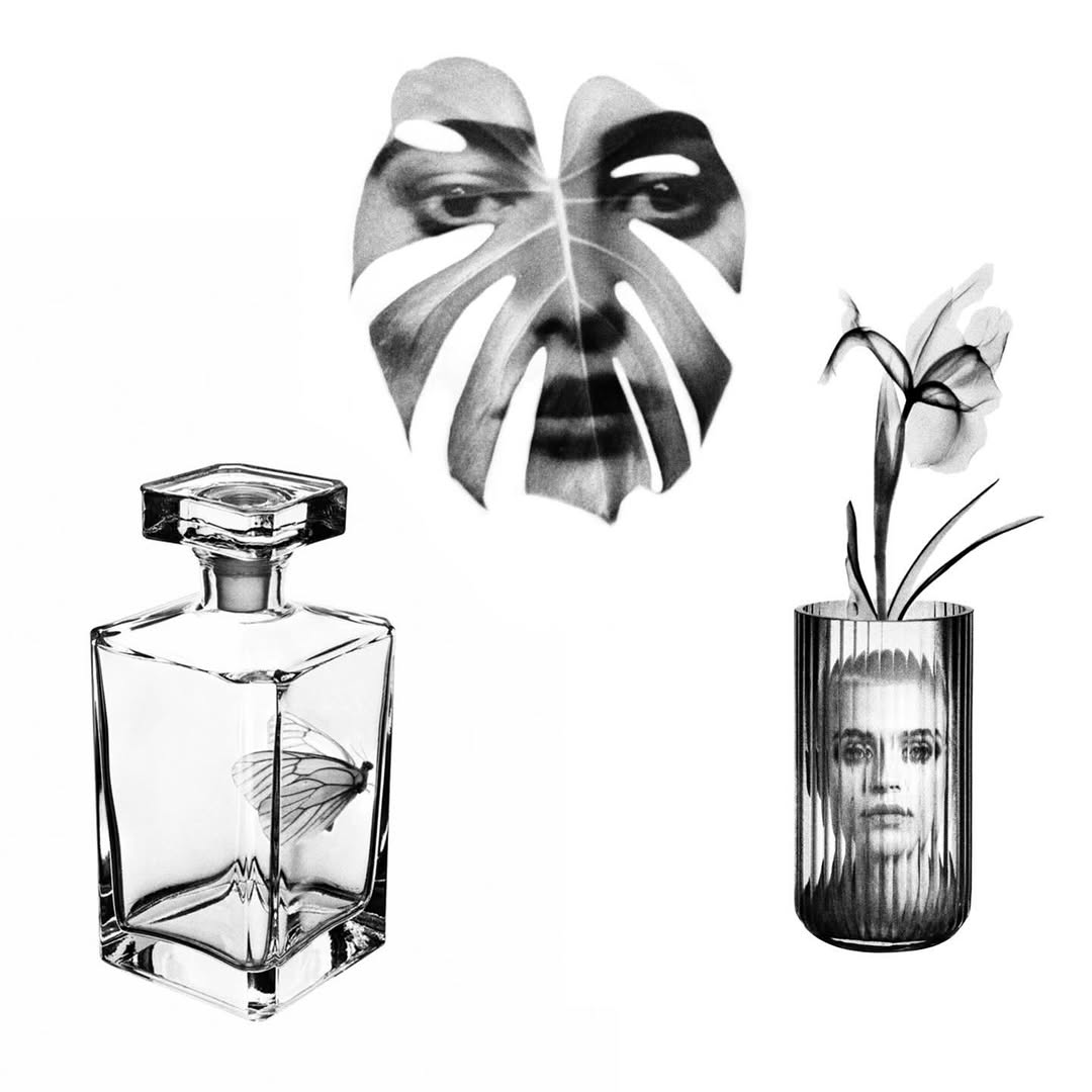 plantsnpokes