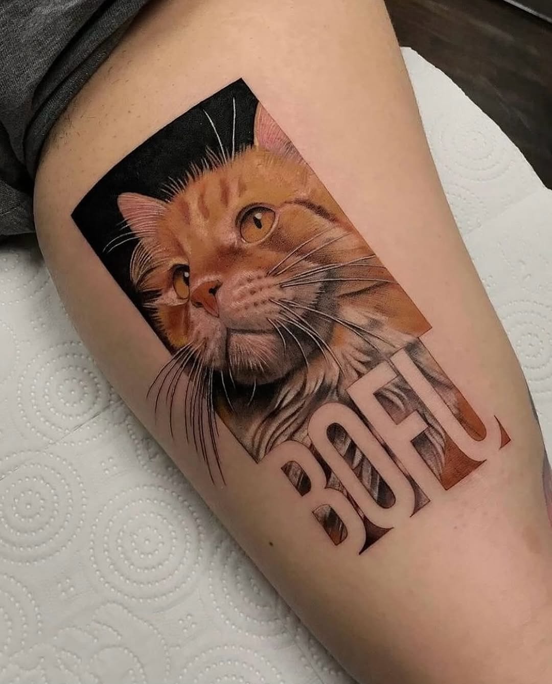 Animal