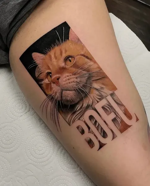 Animal
