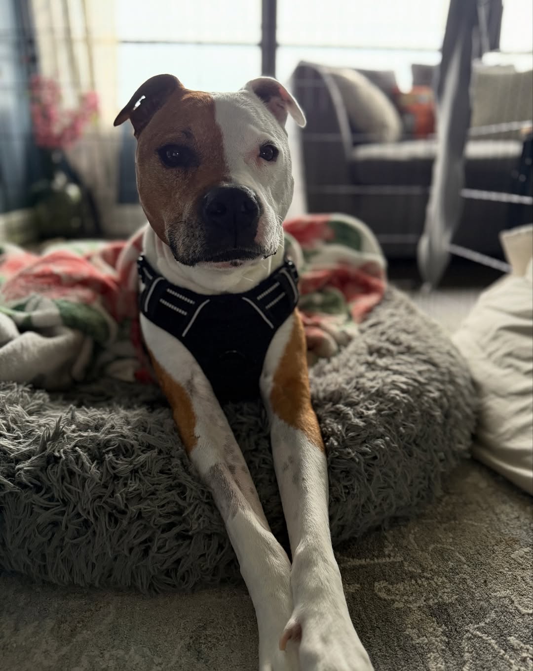 Hannah Kang