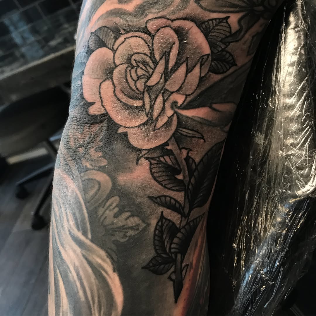 Flower, Rose