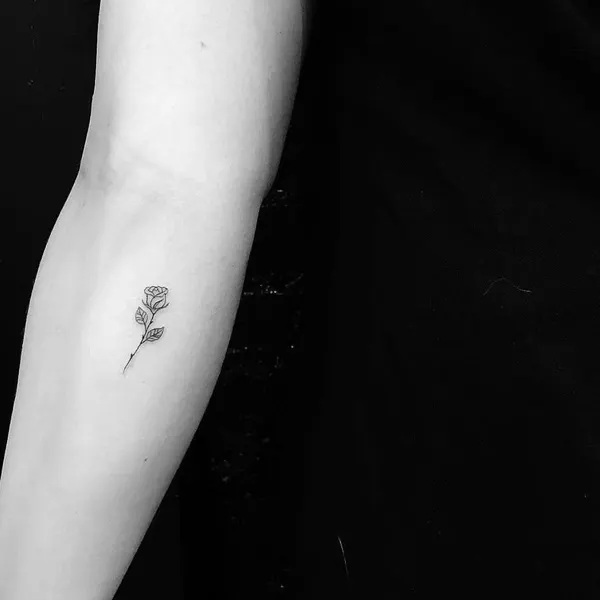 Flower, Rose