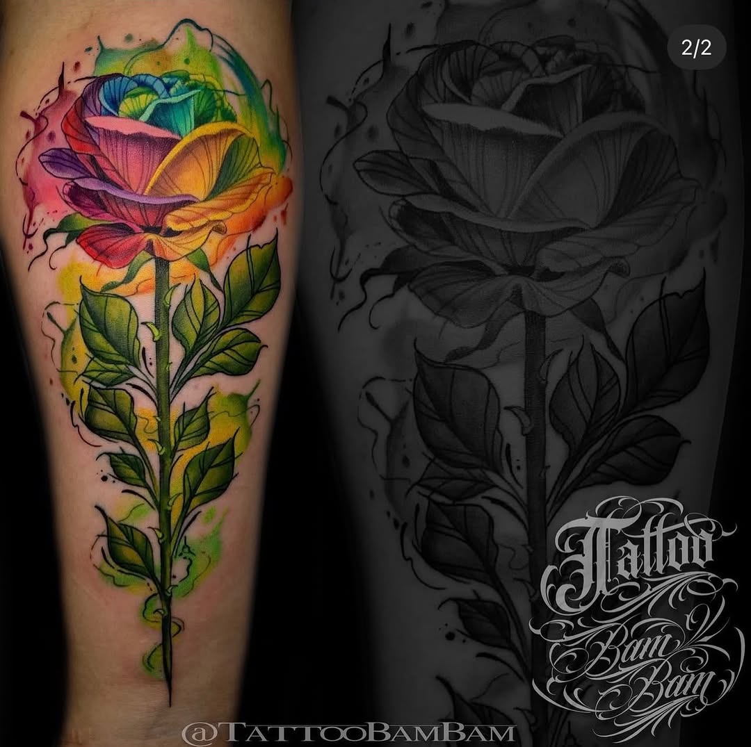 Flower, Rose