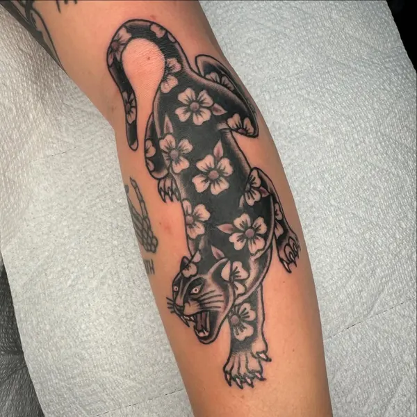 Tiger, Animal