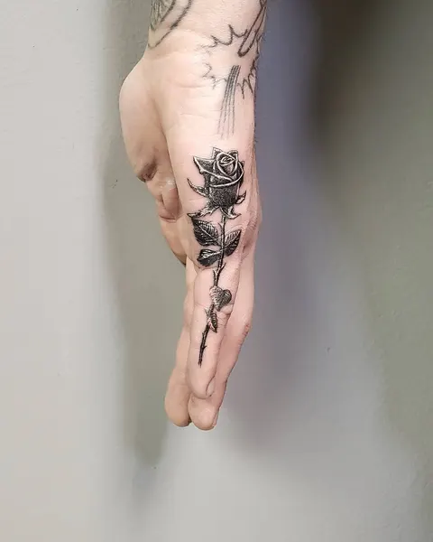 Flower, Rose