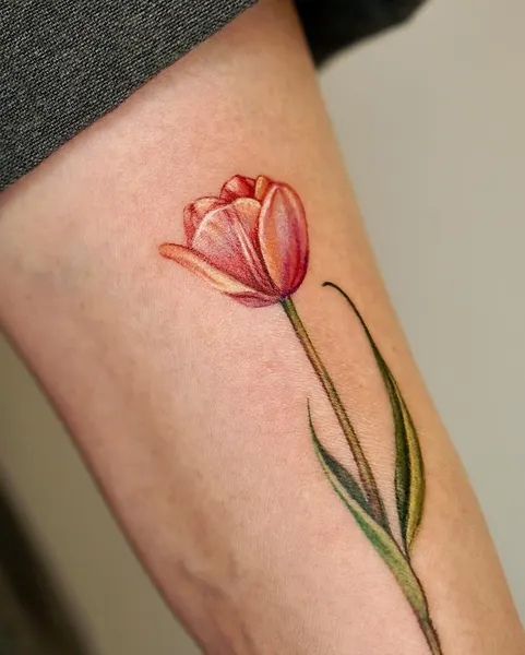 Flower, 튤립