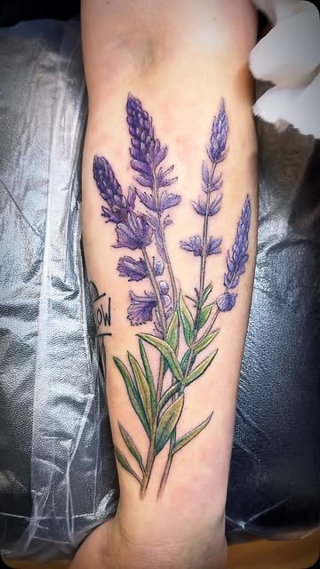 Flower, Rose, 라벤더, 허브