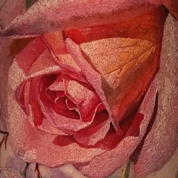 Flower, Rose