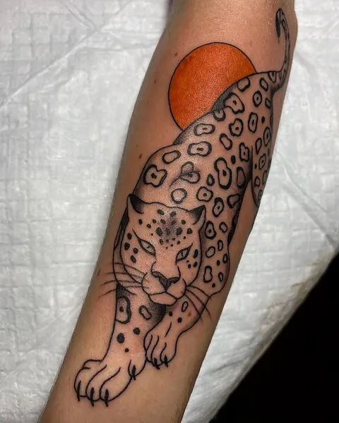 Tiger, Animal, 표범, 치타