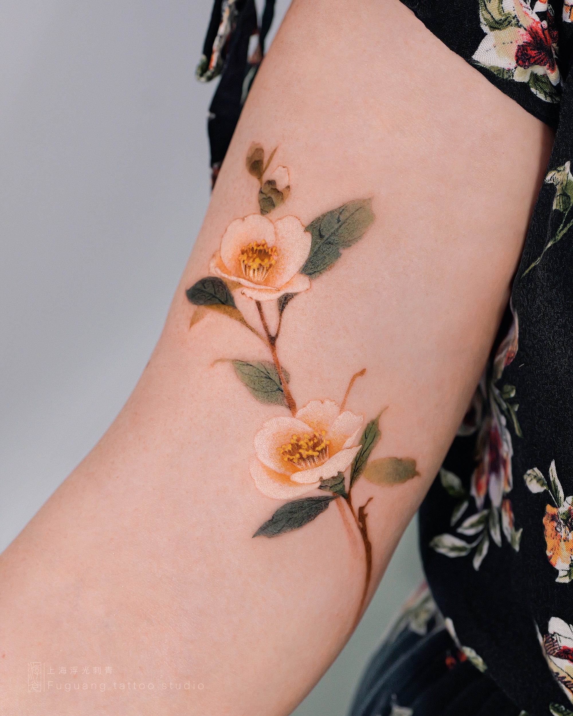 Flower, Rose