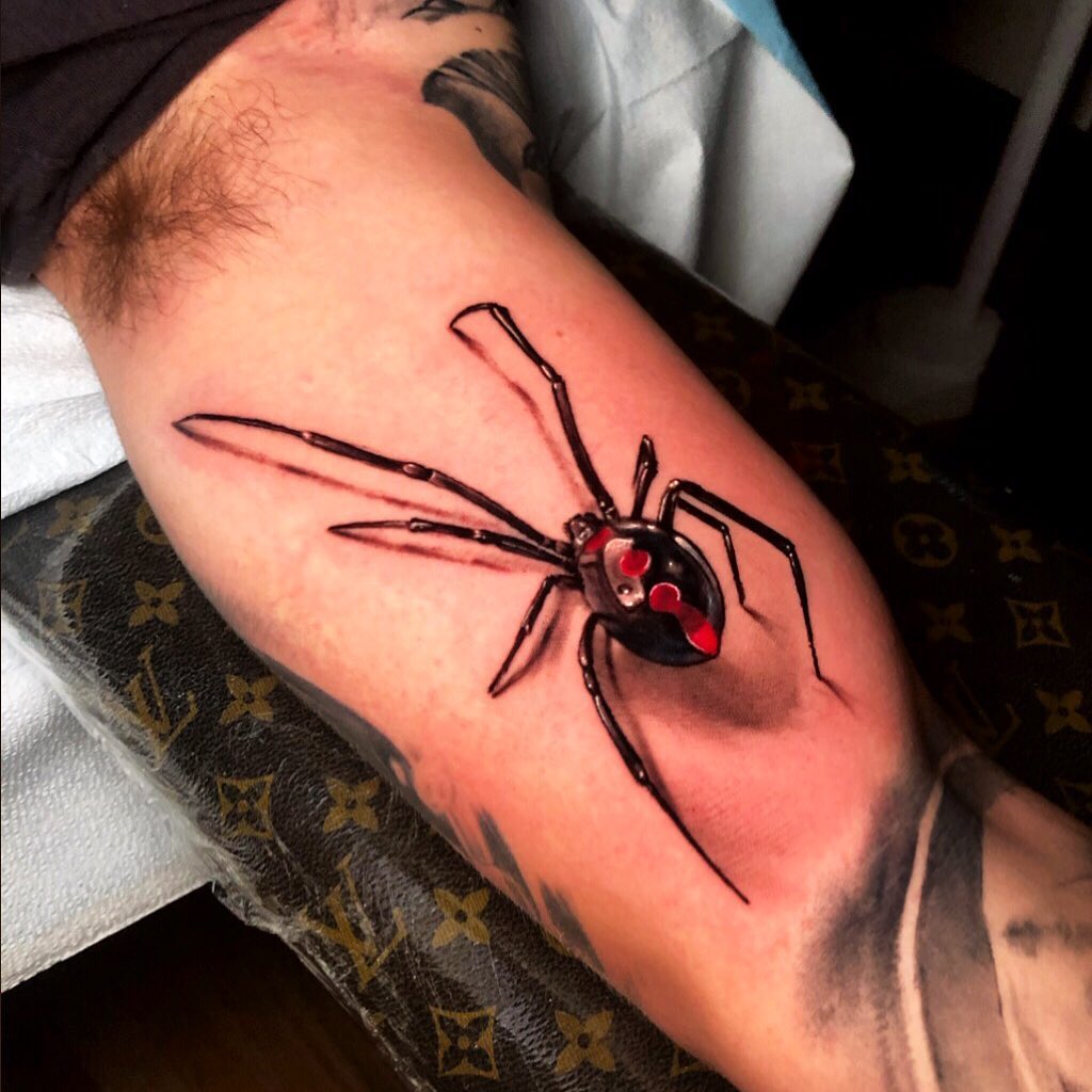 Animal