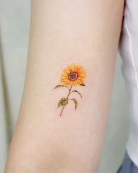 Flower, 아이리스, 백합, 난초, 튤립