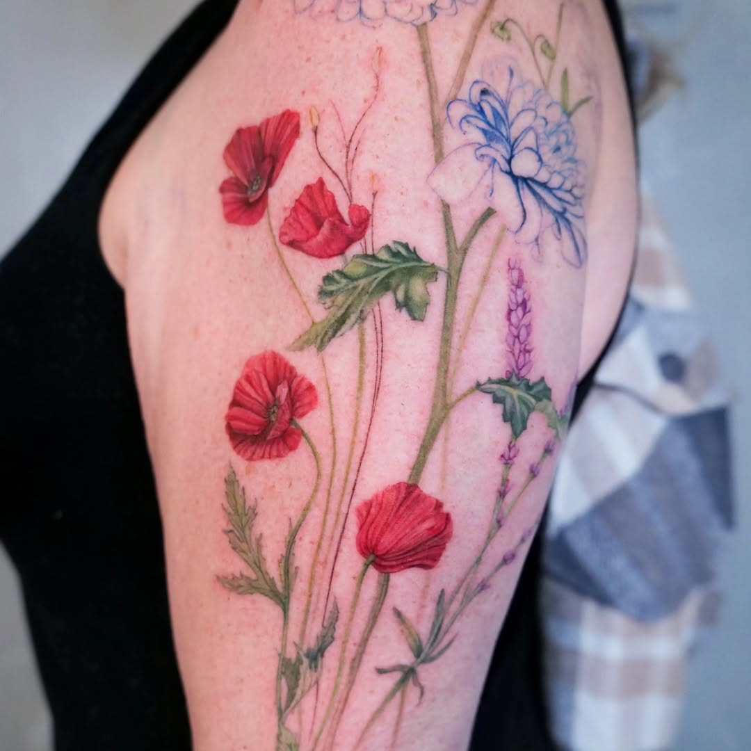 Flower, Rose, 양귀비