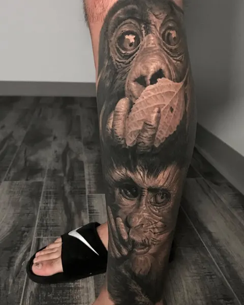Tiger, Animal, 원숭이