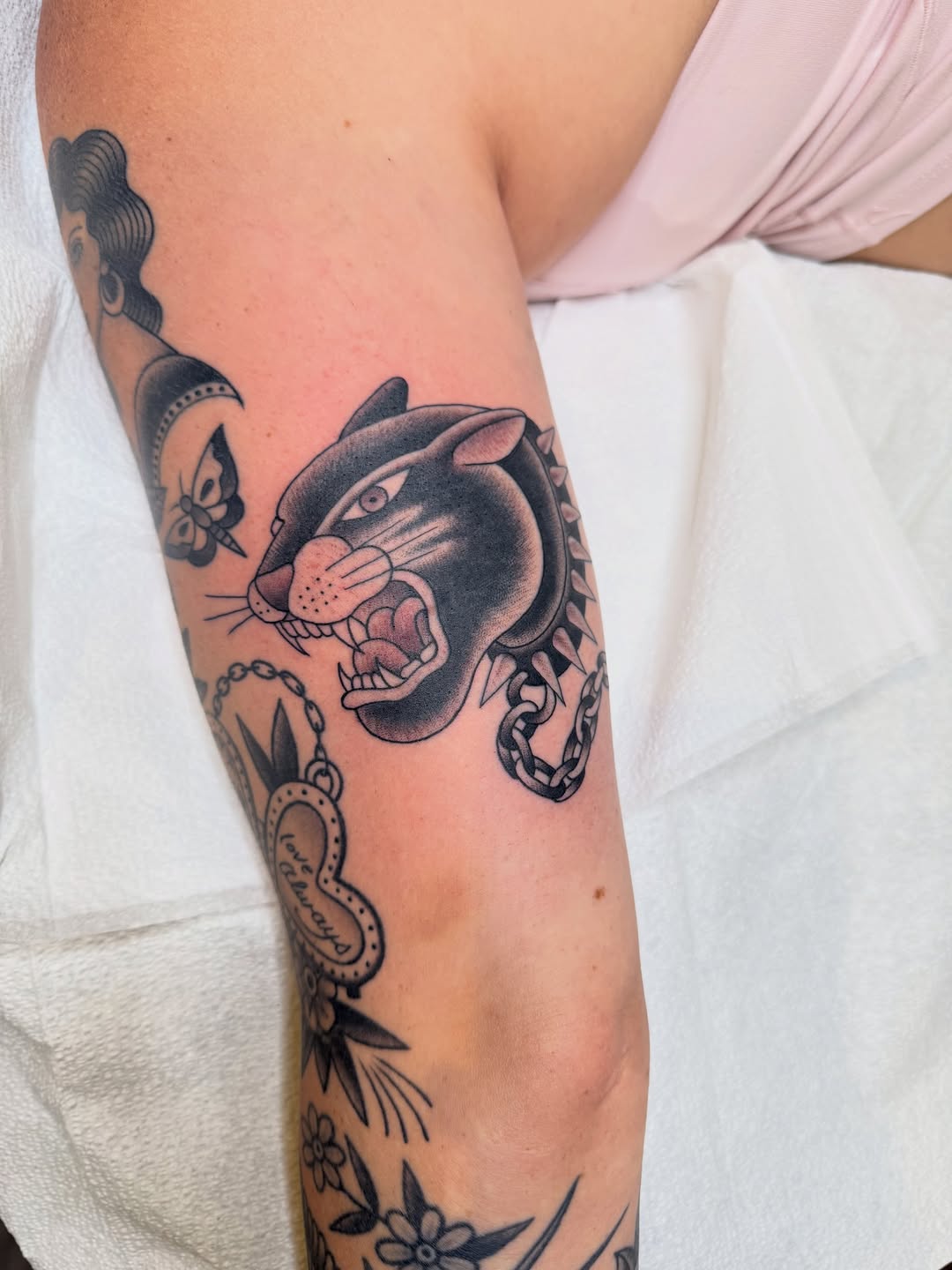 Tiger, Animal