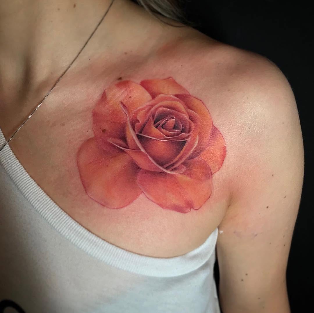 Flower, Rose, Nature