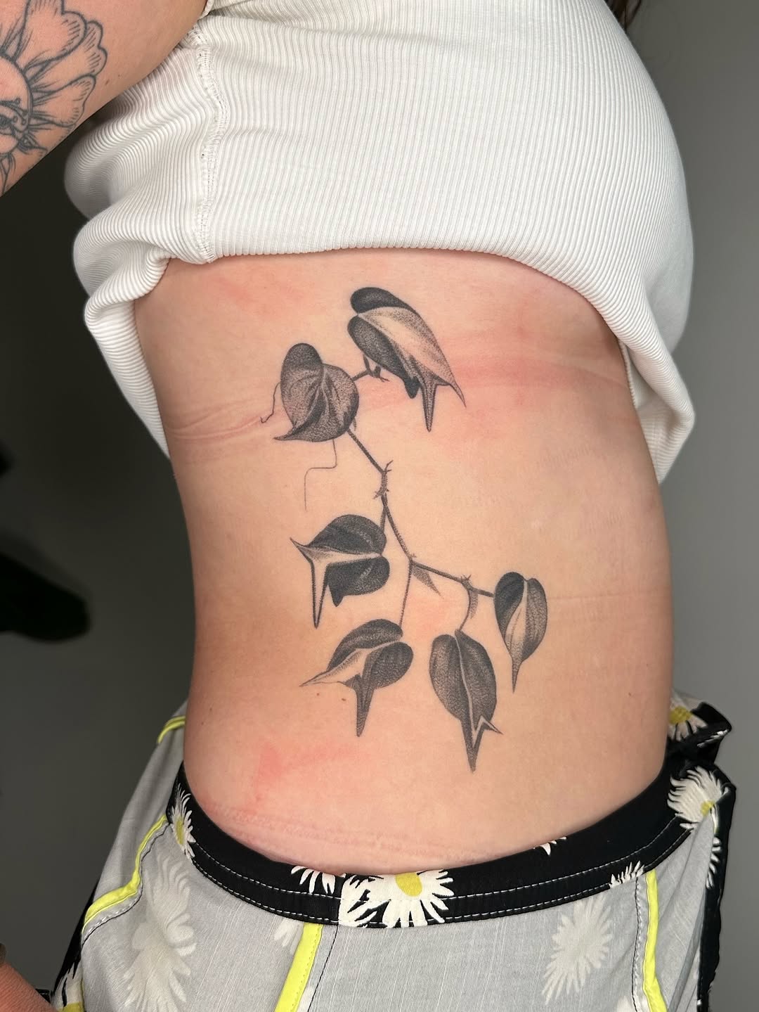 plantsnpokes