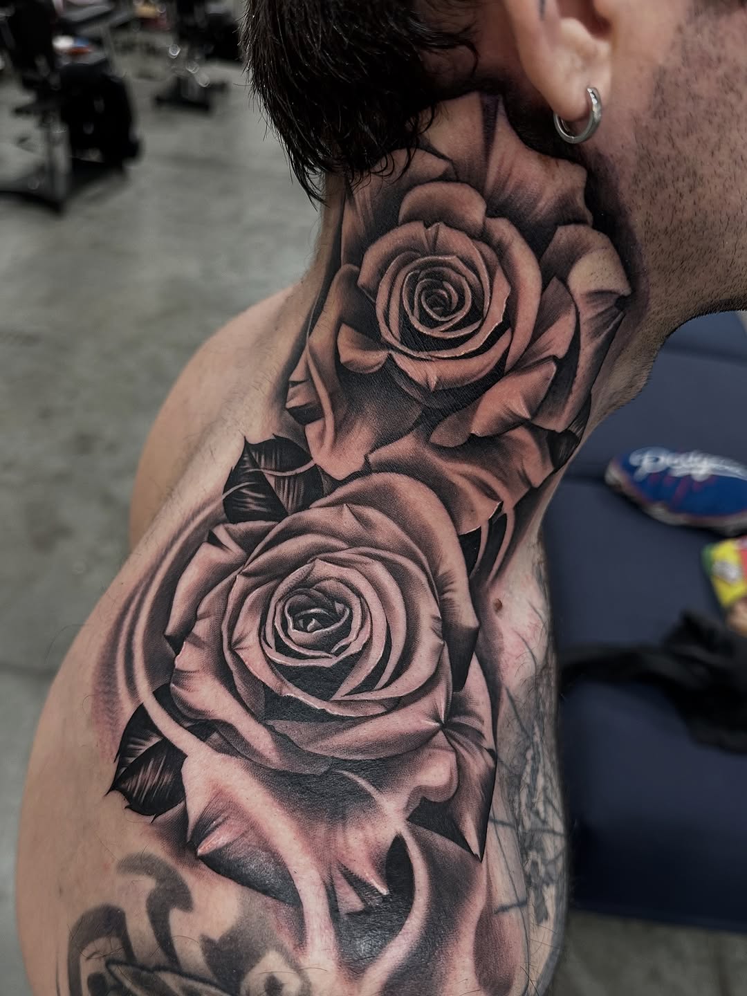 Flower, Rose, Nature