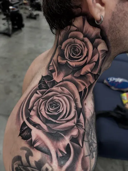 Flower, Rose, Nature