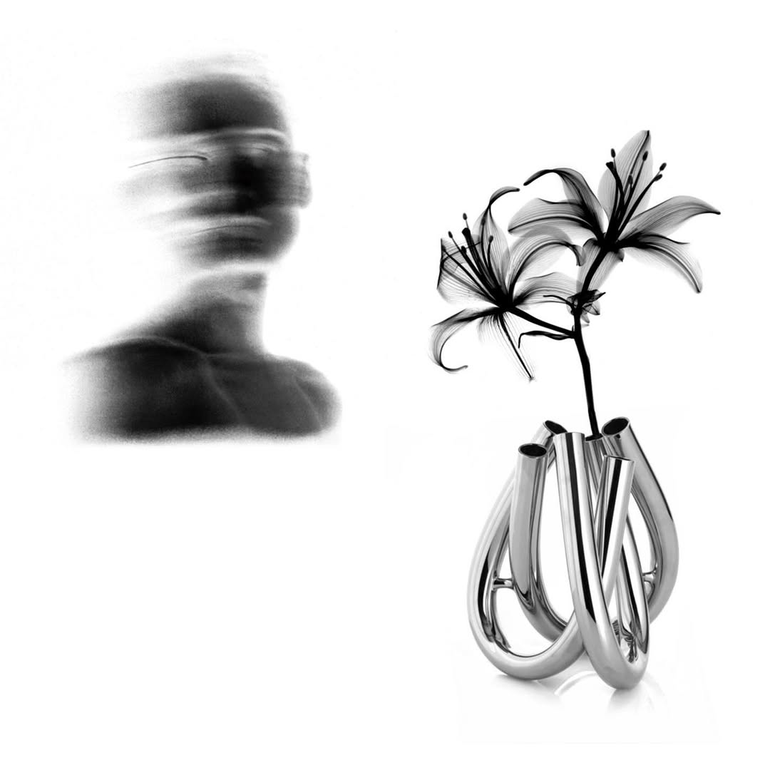 plantsnpokes
