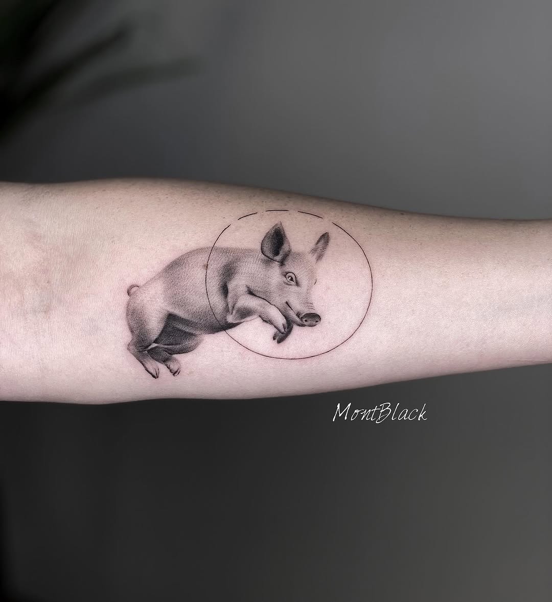 Animal