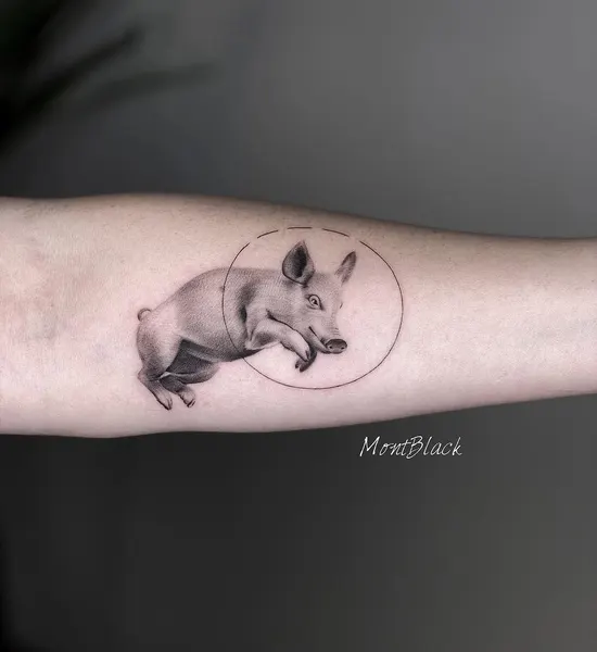 Animal
